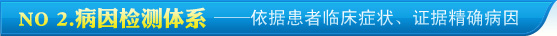 NO.2��������ϵ
